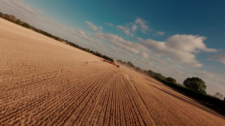 A high-angle, canted view shows a combine harvester at work in a sprawling golden field on a sunny day
