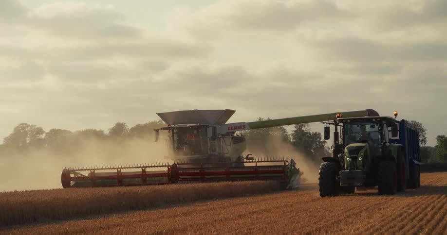 A combine harvester and tractor move through a dusty golden field, harvesting wheat under a hazy evening sky