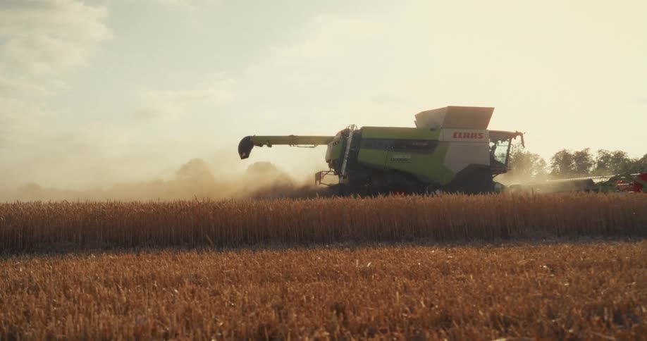 A large combine harvester reaps a golden wheat field in slow motion under the hazy evening sun
