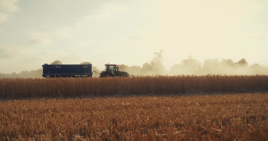 Slow motion shot of a tractor and combine harvester collecting wheat in a dusty field during a sunny day's harvest