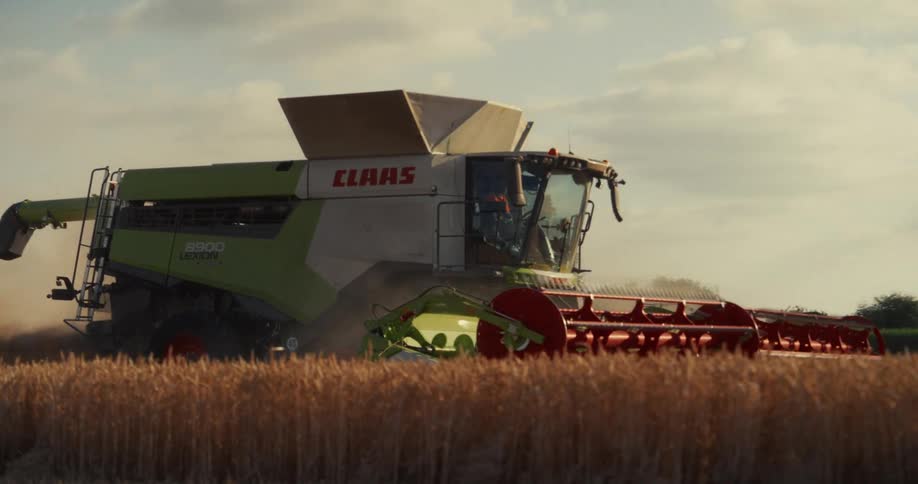 A powerful combine harvester reaps a golden wheat field in cinematic slow motion at golden hour