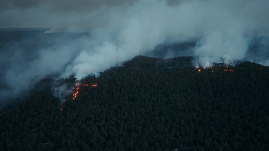 A raging wildfire burns through a dense forest, sending smoke into the darkened sky