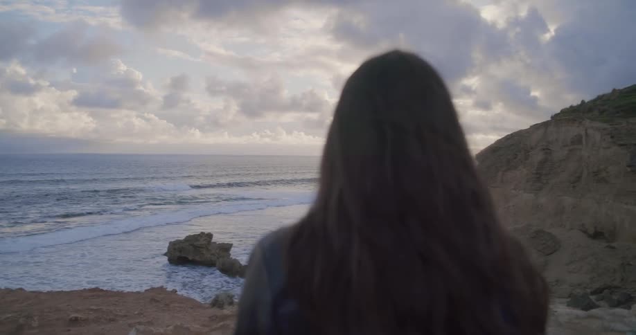Over-the-shoulder view of a woman with long hair looking out at the ocean from a cliff's edge at dusk
