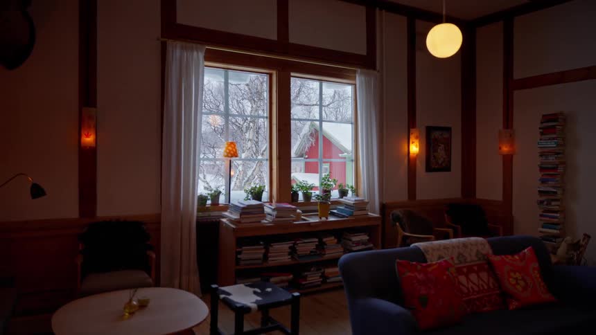 The interior of a cozy, book-filled living room offers a warm retreat as snow falls gently outside the window