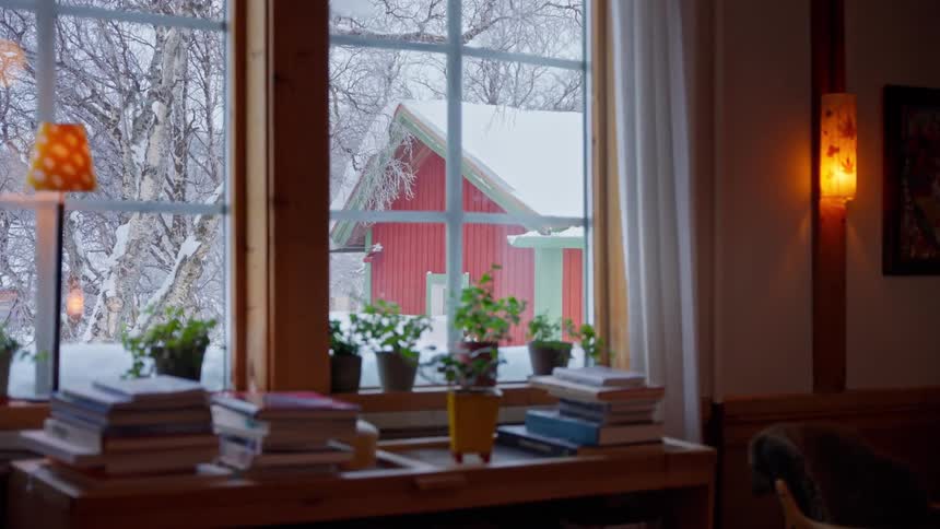 Cozy interior with books and plants on the windowsill overlooking a snowy winter landscape and a red house