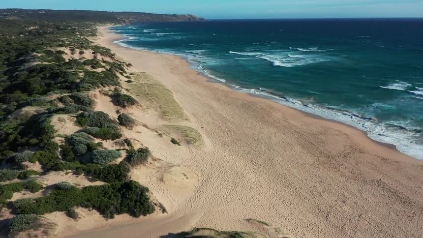 A serene aerial view slowly moving over an expansive, empty sandy beach with rolling waves and lush green sand dunes