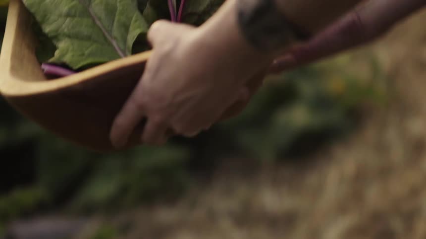 A woman picks up a basket of veggies from a garden