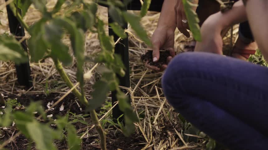 Two people examine dirt in a garden