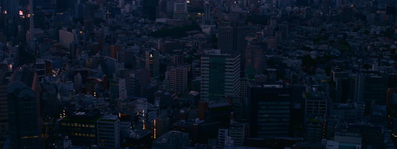 A sprawling cityscape is seen from above at dusk as the last light of day fades