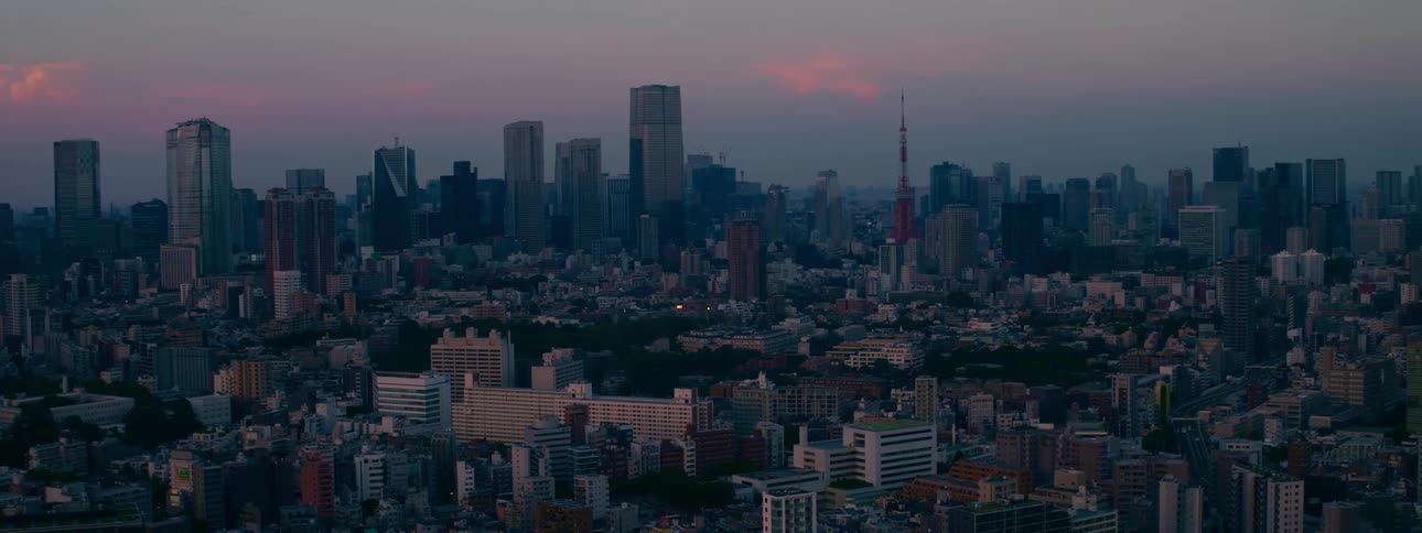 A static wide aerial view of the Tokyo, Japan skyline as the city settles into twilight under a soft purple sky
