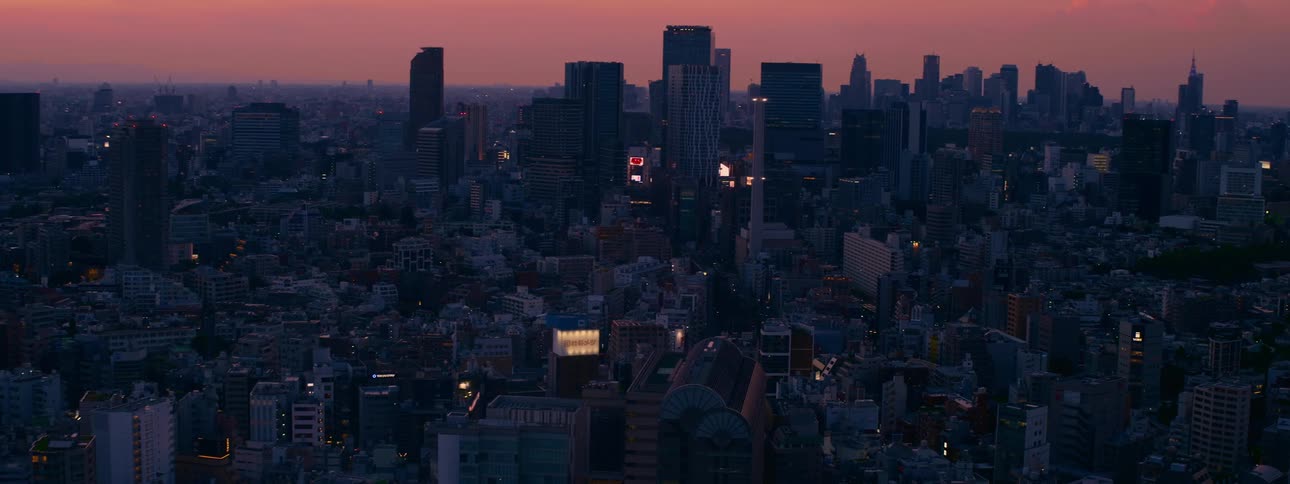 The sprawling metropolis of Tokyo is seen from a high angle at dusk, with the sky glowing pink and orange as the city lights begin to turn on