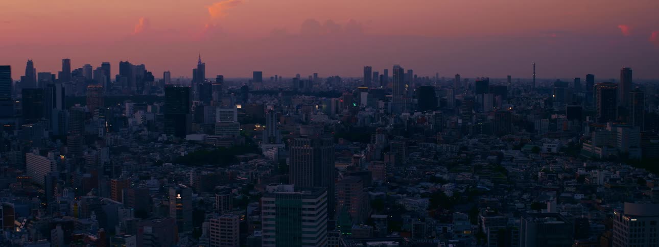 A wide, static aerial view of the Tokyo skyline at dusk as the city lights begin to twinkle against a purple and orange sunset