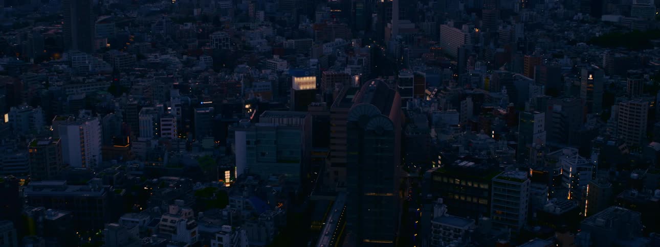 Aerial view of a sprawling cityscape at dusk as a train travels through the urban center