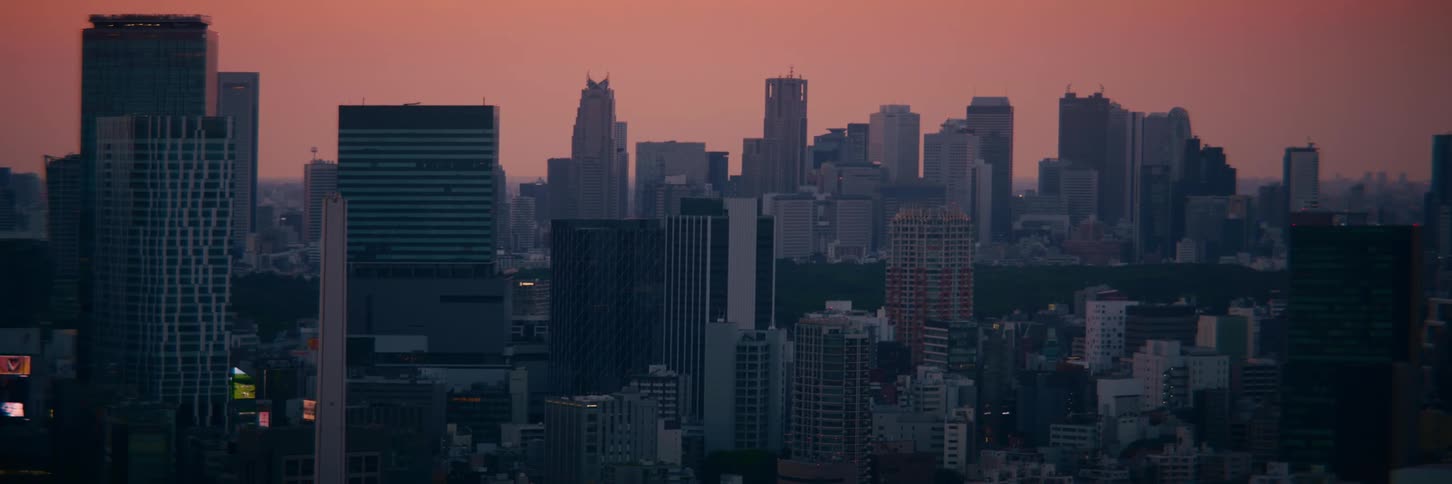 The dense Tokyo city skyline is silhouetted against a beautiful warm-colored sky at dusk