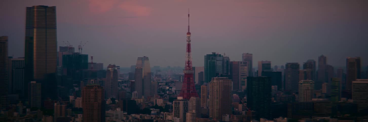 The iconic Tokyo Tower stands at the center of the dense urban cityscape during a calm and hazy sunset