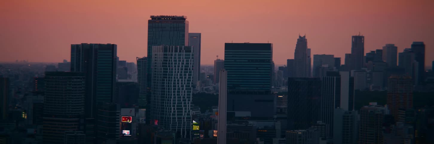 A static wide shot of the Tokyo, Japan cityscape with a passing train and beautiful sunset sky