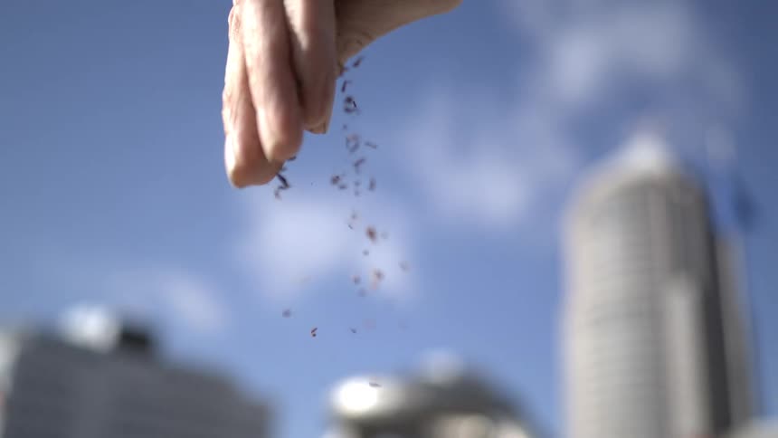 A super slow motion shot of a hand sprinkling spices with a blurry city skyline in the background