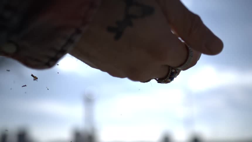A sun-flared slow motion close up of hands crumbling a sweetgrass braid for a spiritual ceremony on the beach