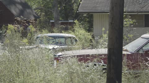 Abandoned cars are slowly consumed by overgrown weeds in a neglected rural yard