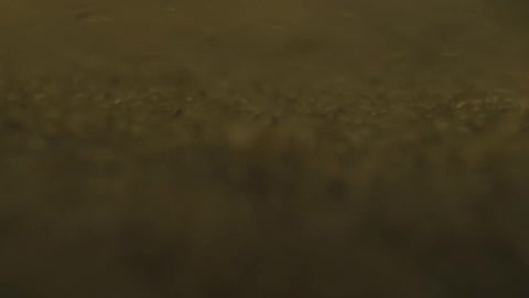 An abstract macro shot reveals glittering gold-colored particles and sediment swirling and floating in a murky liquid