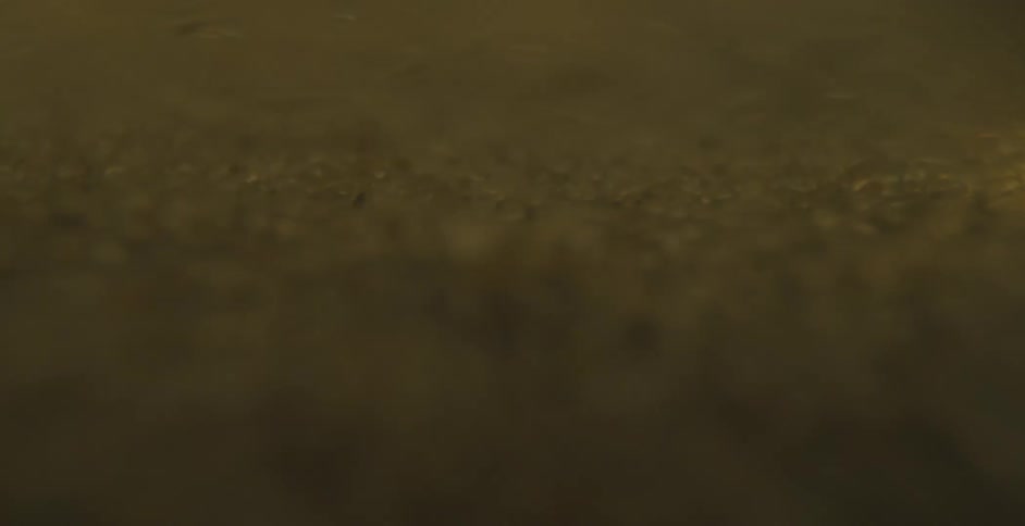 An abstract macro shot reveals glittering gold-colored particles and sediment swirling and floating in a murky liquid