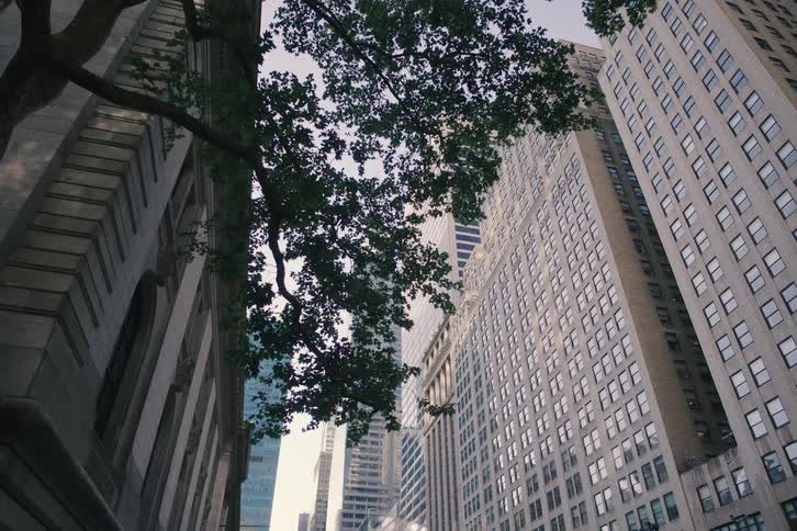 A slow upward tilt reveals the impressive height of New York City skyscrapers from a street-level view, with a tree's branches in the foreground