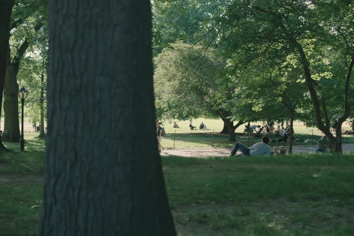 People relax, walk, and enjoy a sunny summer day in a lush green city park
