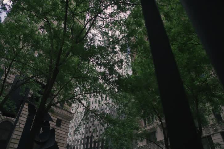 A slow, low-angle dolly shot moves through the trees of a city park, revealing towering skyscrapers of varying architectural styles