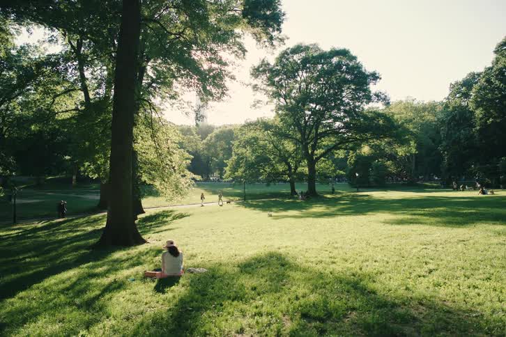 A serene dolly shot pushes through shady trees towards a woman relaxing on the sun-drenched grass of a city park