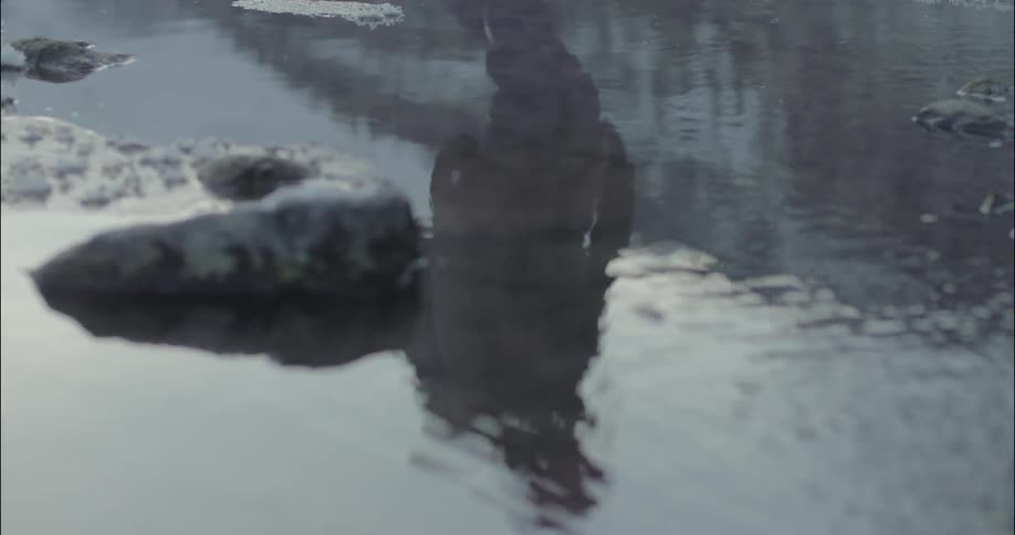 A person is hiking, and their reflection is seen in the water