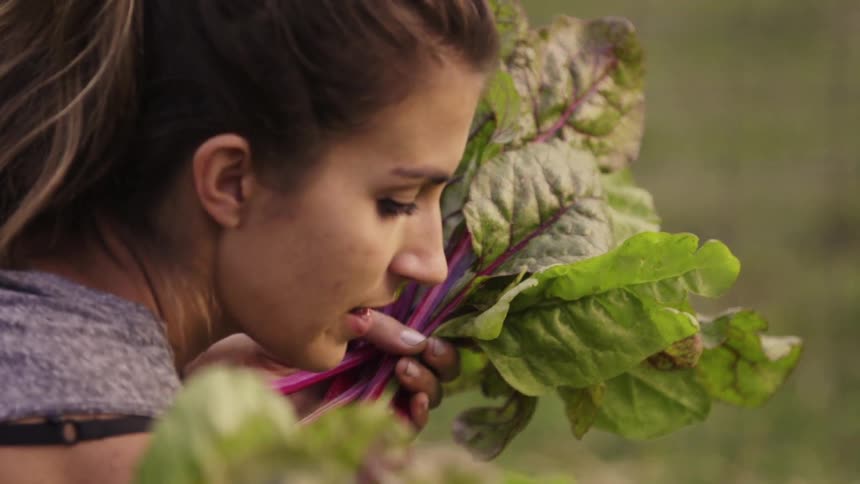 A woman is gathering vegetables from her garden