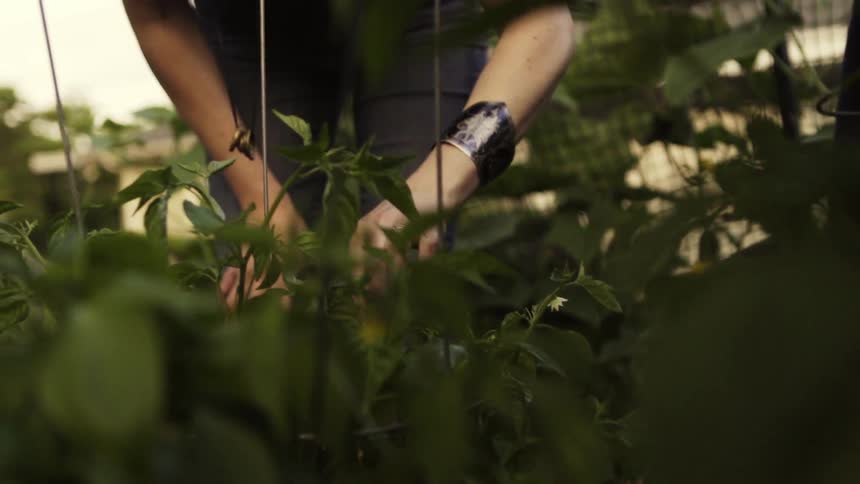 A woman is picking at plants in a garden