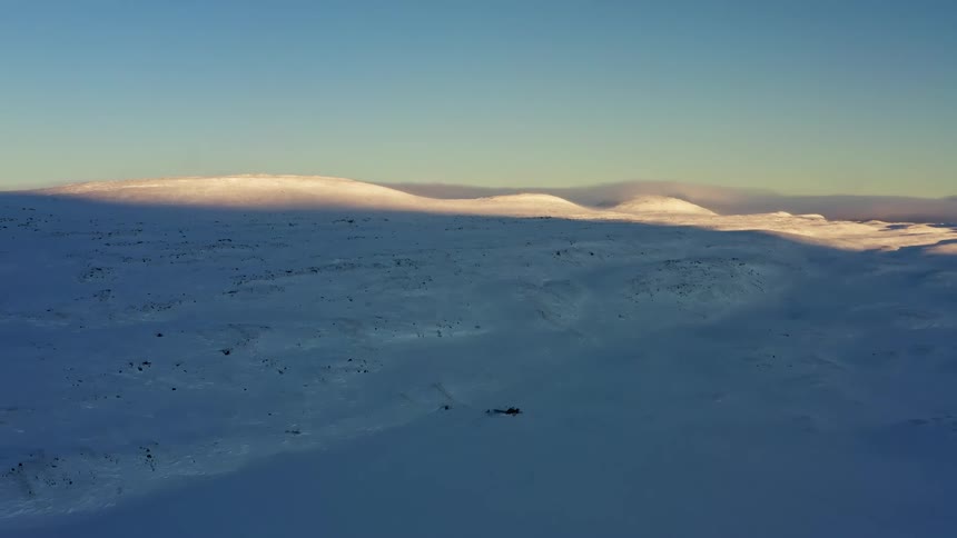 A tranquil and expansive view of a snow-covered landscape at dawn, with sunlight catching the rolling hills in the distance