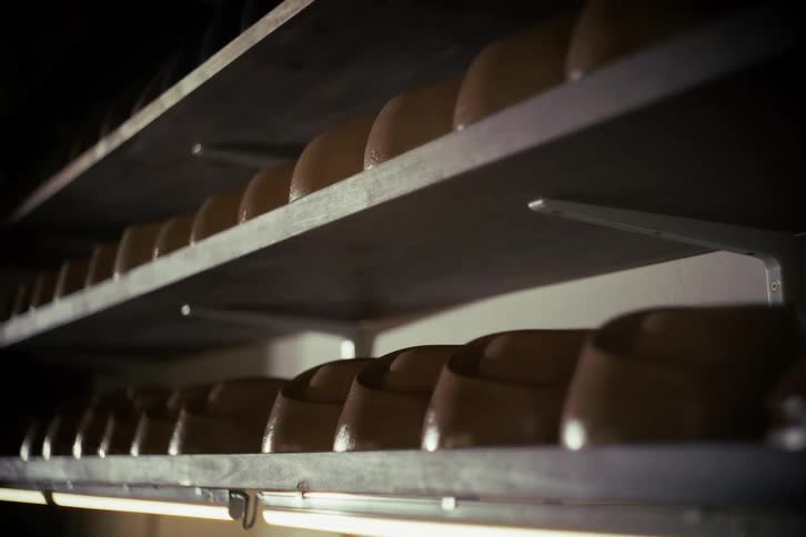 A low angle static shot of round cheeses aging in orderly rows on shelves in a dimly lit cellar
