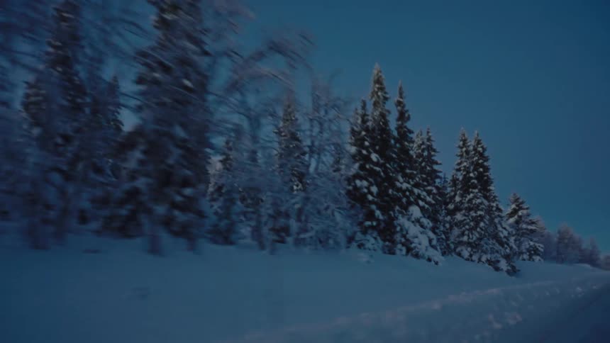 A serene point-of-view drive down a quiet, snow-covered road flanked by a dense, wintry forest at dusk