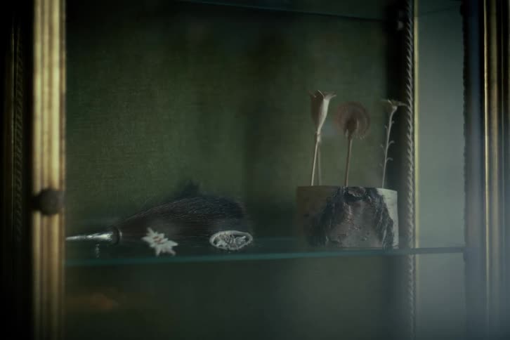 A vintage Tyrolean hat and dried poppy pods sit on display in a dark, moody antique glass cabinet
