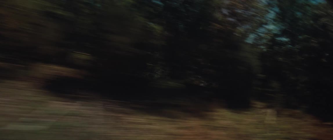 An abstract motion blur view of passing trees and scenery from a moving car