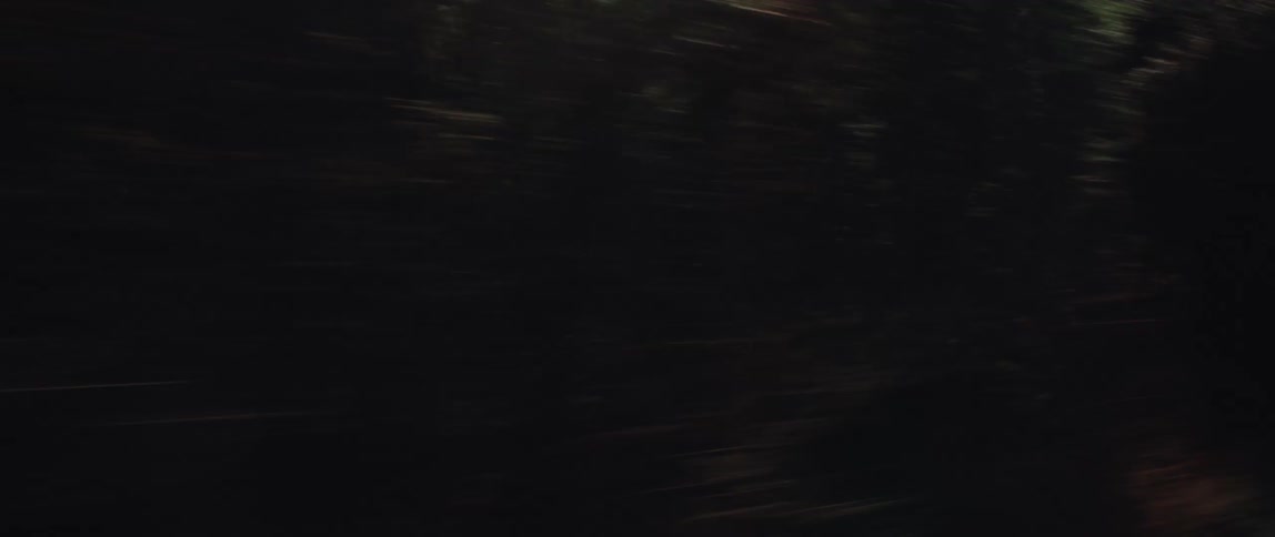 An abstract point of view journey from a moving vehicle, transitioning from the dark blur of a tunnel into the bright, open countryside