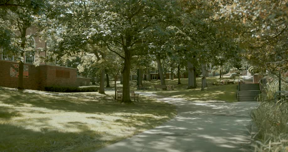 A tranquil, sun-dappled pathway winds through a grassy park area on a quiet university campus surrounded by trees