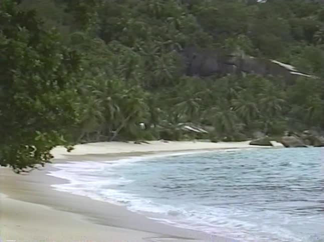 The clear turquoise ocean laps gently against the shore of a pristine white sand beach on a secluded tropical island