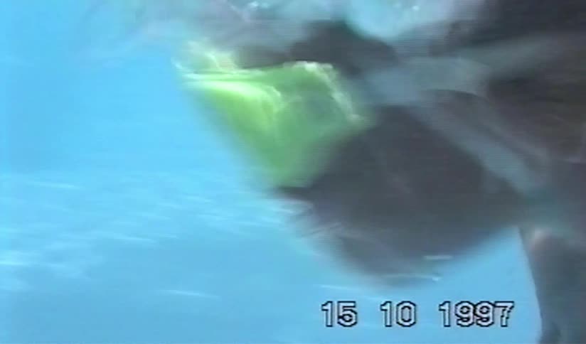 A young girl with bright green goggles swims underwater in a sunlit swimming pool in this nostalgic home movie from 1997