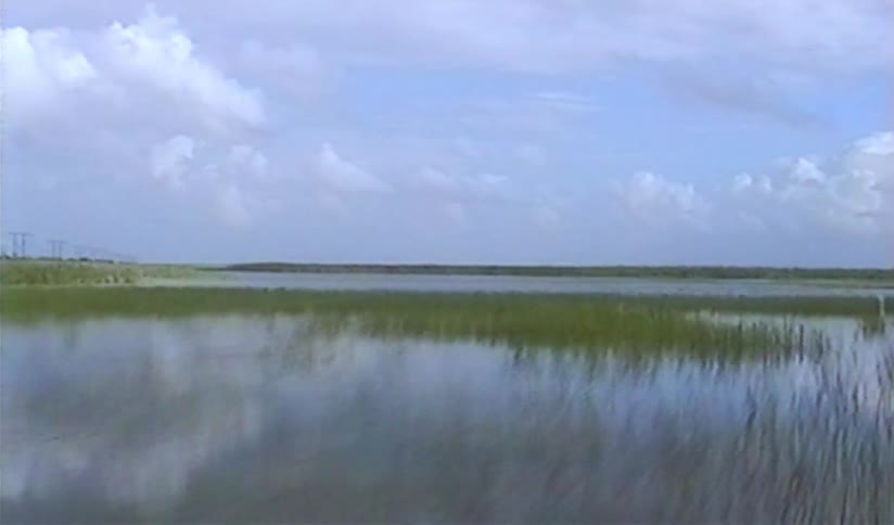 A vintage point-of-view shot from a fast-moving boat gliding across the serene waters of a vast wetland marsh