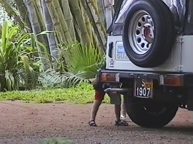 A cute little girl with brown hair plays peek-a-boo from behind a jeep parked near a large bamboo grove