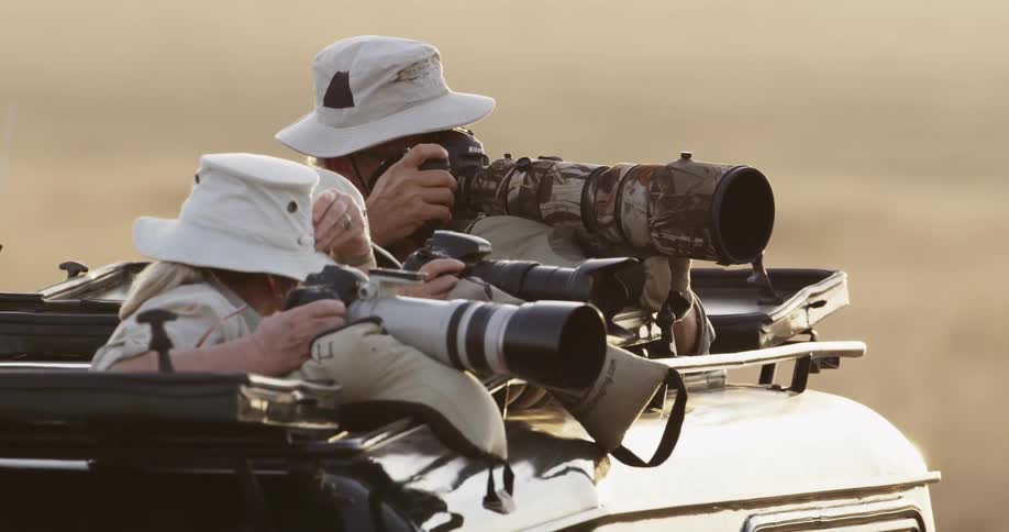 Photographers taking pictures on a safari