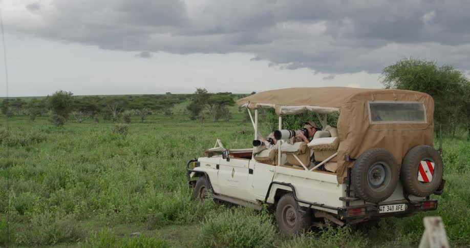 Photographers taking pictures on a safari