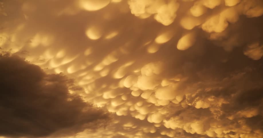 A dramatic, golden sky is filled with rare and awe-inspiring mammatus clouds during sunset