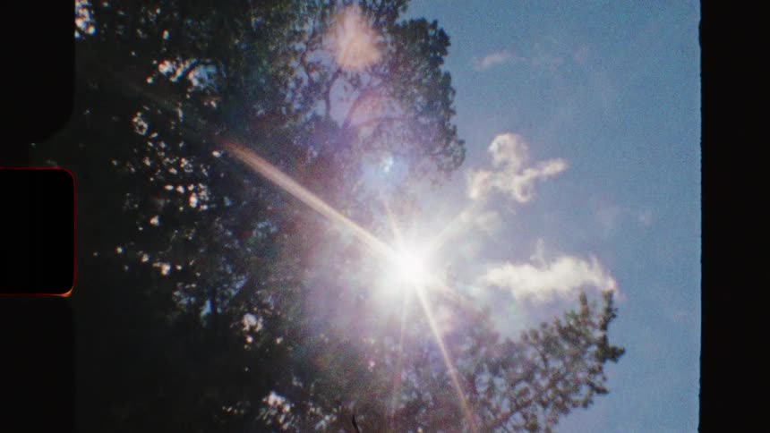 Vintage film style shot looking up at the bright sun flaring through the leaves of a tall tree against a blue sky