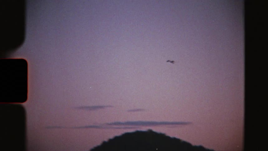 A lone bird gracefully flies through the purple sky at dusk in a vintage film shot