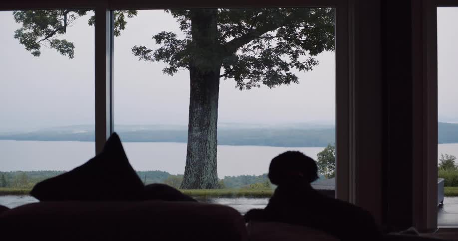 A serene silhouette of a dog relaxing on a couch while looking out a large window at a calm lake and a large tree
