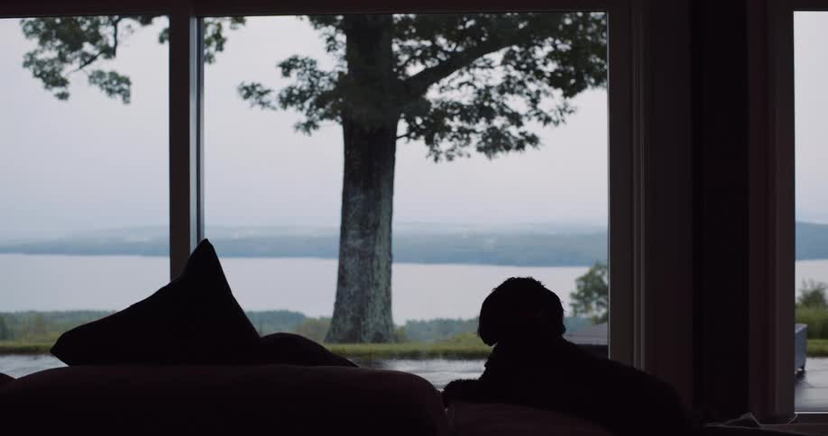A silhouetted dog rests on a couch, peacefully looking out a large window at a serene lake and a large tree